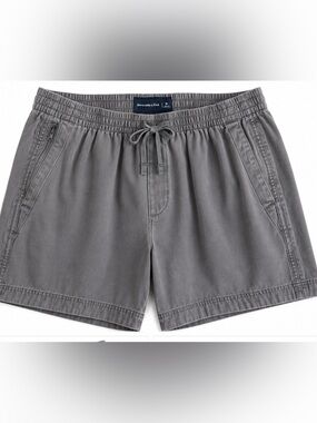 Abercrombie & Fitch Gray Elastic Waist Drawstring Shorts